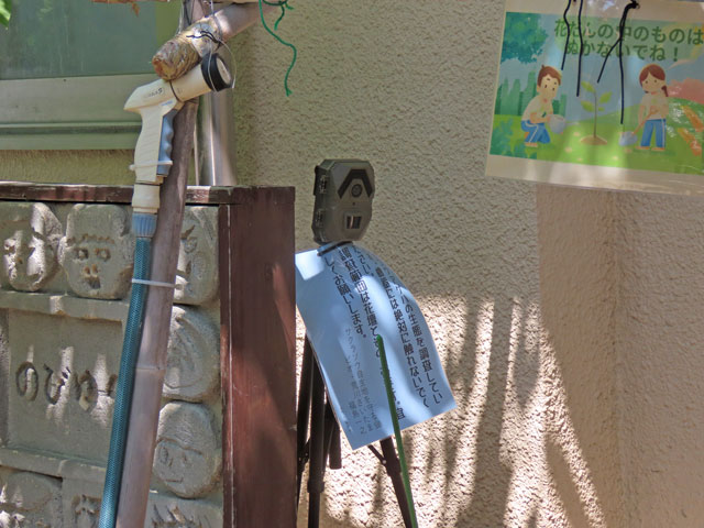 �g���C���J����