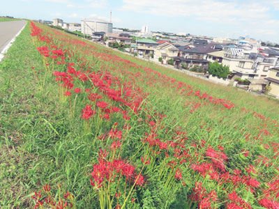 �q�K���o�i