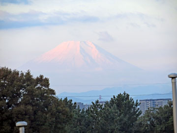 朝陽を浴びて輝く富士山